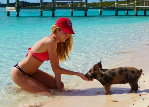 Luxury transportation Nassau Bahamas